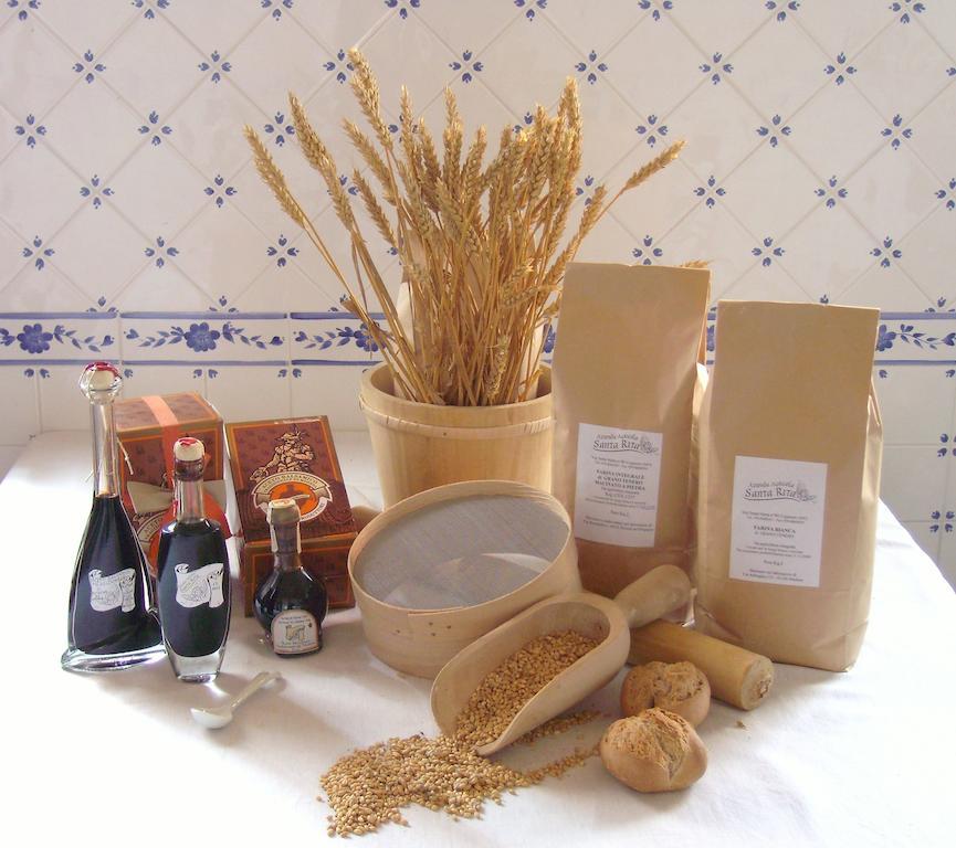 B&B Santa Rita Modena Exterior foto