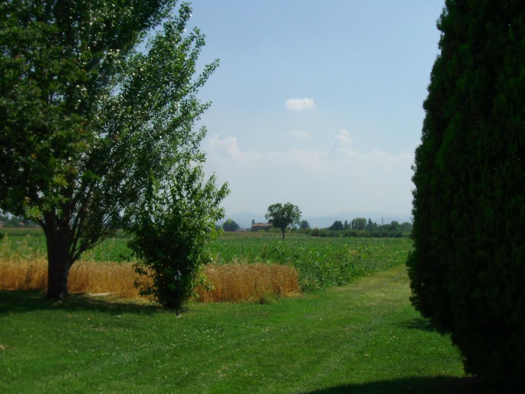 B&B Santa Rita Modena Exterior foto